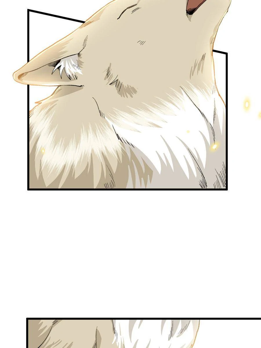 81490517 900 1200 54842